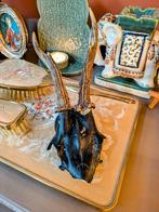 Gewei Wanddecoratie, Antiek en Kunst, Curiosa en Brocante, Ophalen of Verzenden