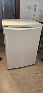 Vrieskast tafelmodel merk liebherr (F1), Ophalen of Verzenden, Zo goed als nieuw, Minder dan 60 cm, 85 tot 120 cm