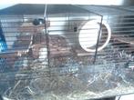 Vivarium met onderkast 100 x 40 x 132 cm, Ophalen, Gebruikt, Terrarium of Paludarium