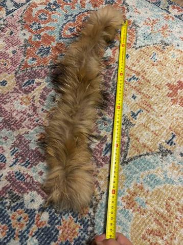 Bontje met rits beschikbaar voor biedingen