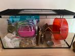 Hamsterhok, Dieren en Toebehoren, 75 tot 110 cm, Ophalen, Minder dan 60 cm, Hok