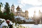 Efteling Winter Tickets 4 stuks!, Tickets en Kaartjes, Drie personen of meer, Ticket of Toegangskaart