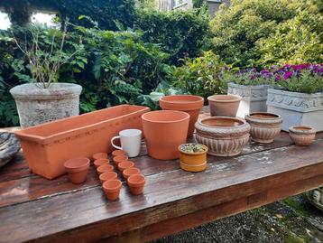 8 leuke terracotta bloempotten + 11 kleine gratis beschikbaar voor biedingen