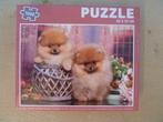 Puzzel 1000 st  € 2.00 of ruilen, Ophalen of Verzenden, 500 t/m 1500 stukjes, Gebruikt, Legpuzzel