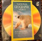National Geographic Laserdisc: Pas op voor de IJsbeer, Cd's en Dvd's, Dvd's | Documentaire en Educatief, Alle leeftijden, Ophalen of Verzenden
