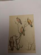 PESTVOGELS, WINTERGASTEN / FLORIS J. TIELE, Ophalen of Verzenden, 1980 tot heden