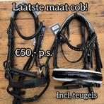 Harry’s Horse hoofdstellen maat cob leder, Dieren en Toebehoren, Dressuur, Nieuw, Harrys horse, Ophalen of Verzenden