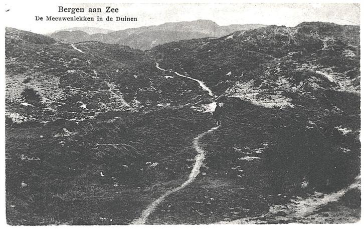 700183 Bergen aan Zee De Meeuwenlekken i d Duinen Postzegel, Verzamelen, Ansichtkaarten | Nederland, Gelopen, Noord-Holland, Ophalen of Verzenden