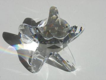 Swarovski Schelpenset beschikbaar voor biedingen