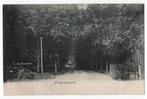 AK ~ Frederiksoord ~ (Laan met bomen) ~ 1904, Verzenden, Voor 1920, Gelopen, Drenthe