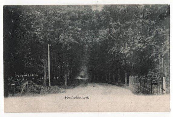 AK ~ Frederiksoord ~ (Laan met bomen) ~ 1904, Verzamelen, Ansichtkaarten | Nederland, Gelopen, Drenthe, Voor 1920, Verzenden