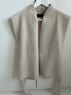 Drykorn Teddy Gilet vest, Kleding | Dames, Ophalen of Verzenden, Zo goed als nieuw, Maat 38/40 (M), Wit