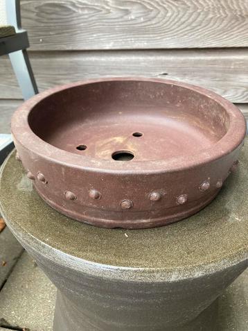 Bonsai set beschikbaar voor biedingen