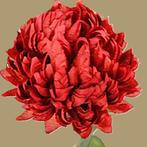 CHRYSANT - KUNST, Ophalen of Verzenden, Nieuw