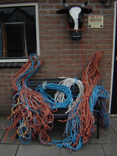 Koptouwen voor koeien, Dieren en Toebehoren, Overige Dieren-accessoires, Nieuw, Ophalen of Verzenden
