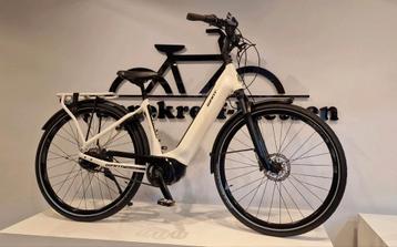 Giant Dailytour|Beltdrive|E-Bike|1600km!!| beschikbaar voor biedingen