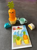 LEGO DUPLO Mijn eerste Groeiende wortel Speelset - 10981, Ophalen of Verzenden, Zo goed als nieuw, Complete set, Duplo