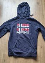 Trui | Maat M | Napapijri | Blauw, Kleding | Heren, Truien en Vesten, Ophalen of Verzenden, Napapijri, Gedragen, Maat 48/50 (M)