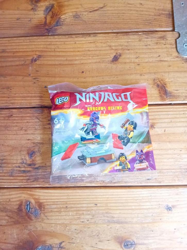 LEGO Polybags - Nieuw!, Kinderen en Baby's, Speelgoed | Duplo en Lego, Nieuw, Lego, Complete set, Ophalen of Verzenden