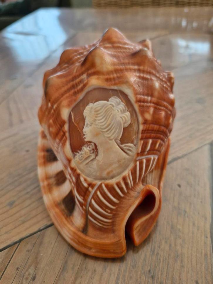 Conch Shell / Schelp met een Camee, Antiek en Kunst, Kunst | Beelden en Houtsnijwerken, Ophalen of Verzenden