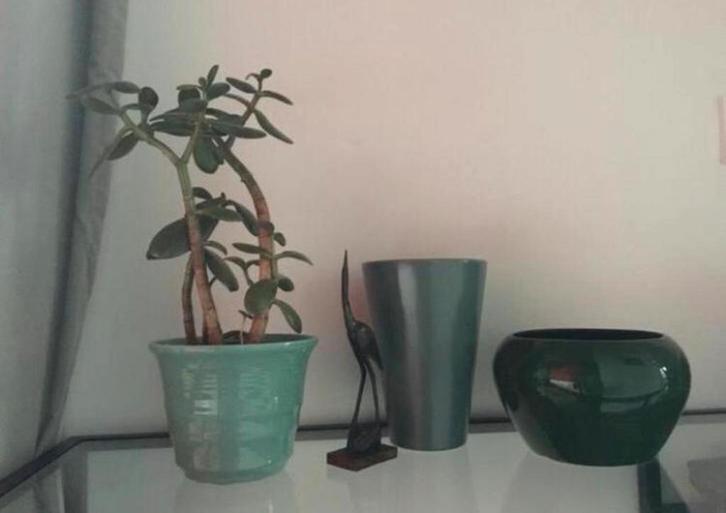 Vintage groene bloempotten diverse maten, Tuin en Terras, Bloempotten, Zo goed als nieuw, Terracotta, Binnen, Minder dan 25 cm