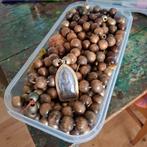 Houten kralen groot, klei amulet, Ophalen of Verzenden, Nieuw, Kraal