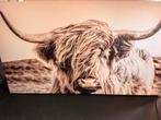 Canvas schotse hooglander, Ophalen of Verzenden, Gebruikt