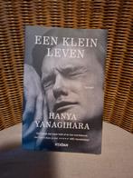 Hanya Yanagihara - Een klein leven, Boeken, Ophalen of Verzenden, Zo goed als nieuw, Hanya Yanagihara, Amerika