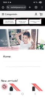 Ter overname Complete Webshop & Domeinnaam, Zakelijke goederen, Exploitaties en Overnames