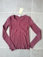 Nieuwe longsleeve shirt meisje maat 170, Kinderen en Baby's, Ophalen of Verzenden, Nieuw, Meisje, Shirt of Longsleeve