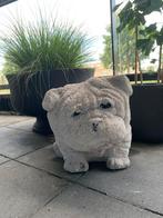 Betonnen bulldog 45 x 30 x 30 € 15,00, Ophalen, Zo goed als nieuw, Beton, Dierenbeeld