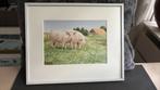 SCHILDERIJ WIEBE VAN DE ZEE. MET VARKENS, Minder dan 50 cm, Ophalen of Verzenden, Zo goed als nieuw, Minder dan 50 cm