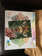 Hobby pixel volwassenen, Ophalen of Verzenden, Nieuw, Knutselwerk