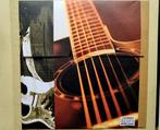 100 Licks & Chops voor Blues Gitaar. Met Cd. Nieuwstaat., Gitaar, Les of Cursus, Ophalen of Verzenden, Zo goed als nieuw
