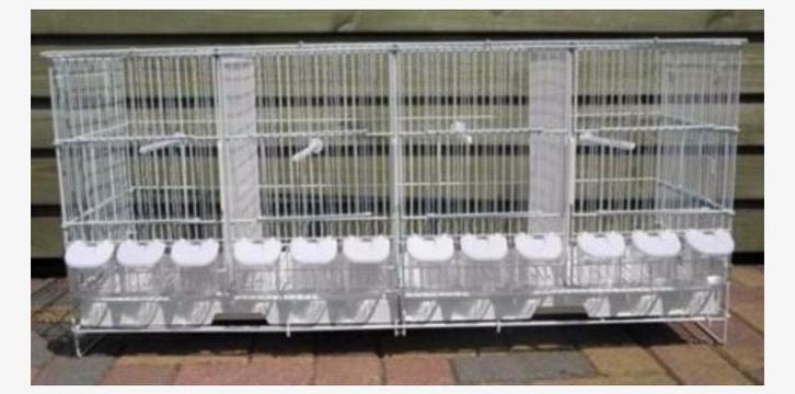 Broedkooien nieuw 2 stuks wit., Dieren en Toebehoren, Vogels | Hokken en Kooien, Zo goed als nieuw, Broedkooi of Kweekkooi, Ophalen