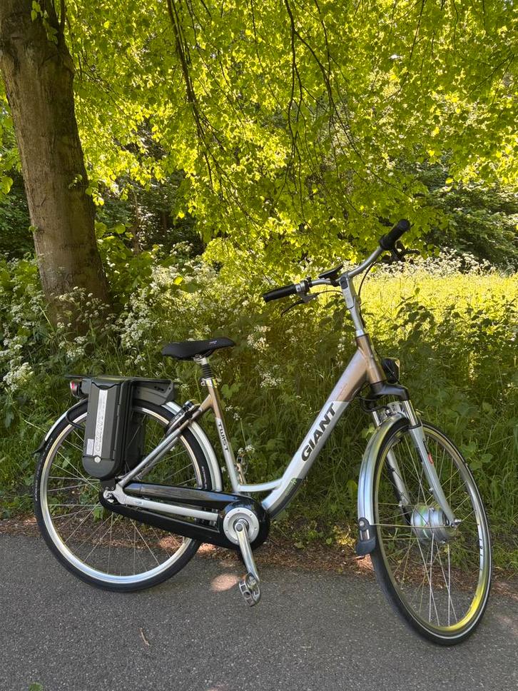 Giant Twist Go Double Hybrid, Fietsen en Brommers, Elektrische fietsen, Zo goed als nieuw, Overige merken, 51 tot 55 cm, Ophalen of Verzenden