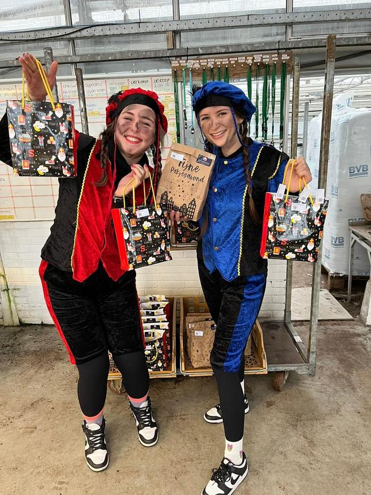 Pietenbezoek Westland Danspieten, Diversen, Sinterklaas, Zo goed als nieuw, Ophalen