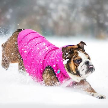 AiryVest Hondenjas Omkeerbaar M45 Pink-Purple -50% OFF!!! beschikbaar voor biedingen