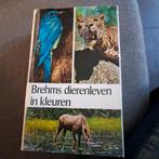 Brehms dierenleven in kleuren, Ophalen of Verzenden, Gelezen
