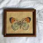Geborduurde vlinder lijst muur kunst vintage antiek hout, Verzenden, Zo goed als nieuw