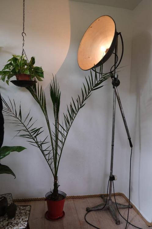 Staande vloerlamp Vintage Studio Lamp by Narita jaren 50, Huis en Inrichting, Lampen | Vloerlampen, Gebruikt, 150 tot 200 cm, Ophalen