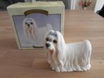 Maltezer hondje, beeldje, The Leonardo Collection, Ophalen of Verzenden, Nieuw, Dier