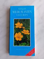 VELDGIDS  WILDE PLANTEN VAN EUROPA door Paul Sterry e.a., Boeken, Natuur, Nieuw, Ophalen of Verzenden, Bloemen, Planten en Bomen