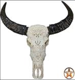 schedel, longhorn, insecten,vachten, decoratie, Verzamelen, Dierenverzamelingen, Ophalen of Verzenden, Nieuw, Insect, Schedel