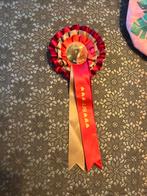 Miss melody rozet, Kinderen en Baby's, Kindermode-accessoires, Ophalen of Verzenden, Zo goed als nieuw