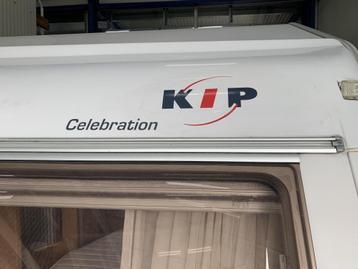 Kip Celebration 41tdb (1013202) beschikbaar voor biedingen