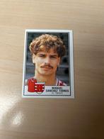 Panini Voetbal 85 Twente Sanchez Torresp, Verzamelen, Ophalen of Verzenden, Zo goed als nieuw, F.C. Twente, Poster, Plaatje of Sticker
