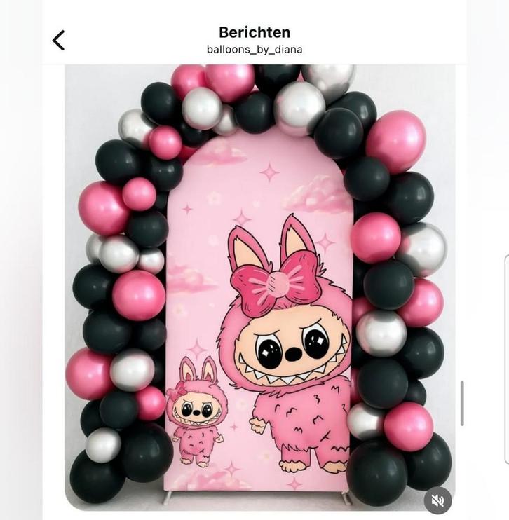 Labubu of roze strik backdrop te huur voor €100 compleet, Hobby en Vrije tijd, Feestartikelen | Verhuur, Zo goed als nieuw, Geboorte of Huwelijk
