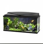 Ciano Aquarium 80 Led zgan, Dieren en Toebehoren, Vissen | Aquaria en Toebehoren, Ophalen, Zo goed als nieuw, Leeg aquarium