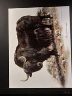 Yak - getekend Carl Brenders Wildlife Art, Verzamelen, 1960 tot 1980, Verzenden, Zo goed als nieuw, Dier
